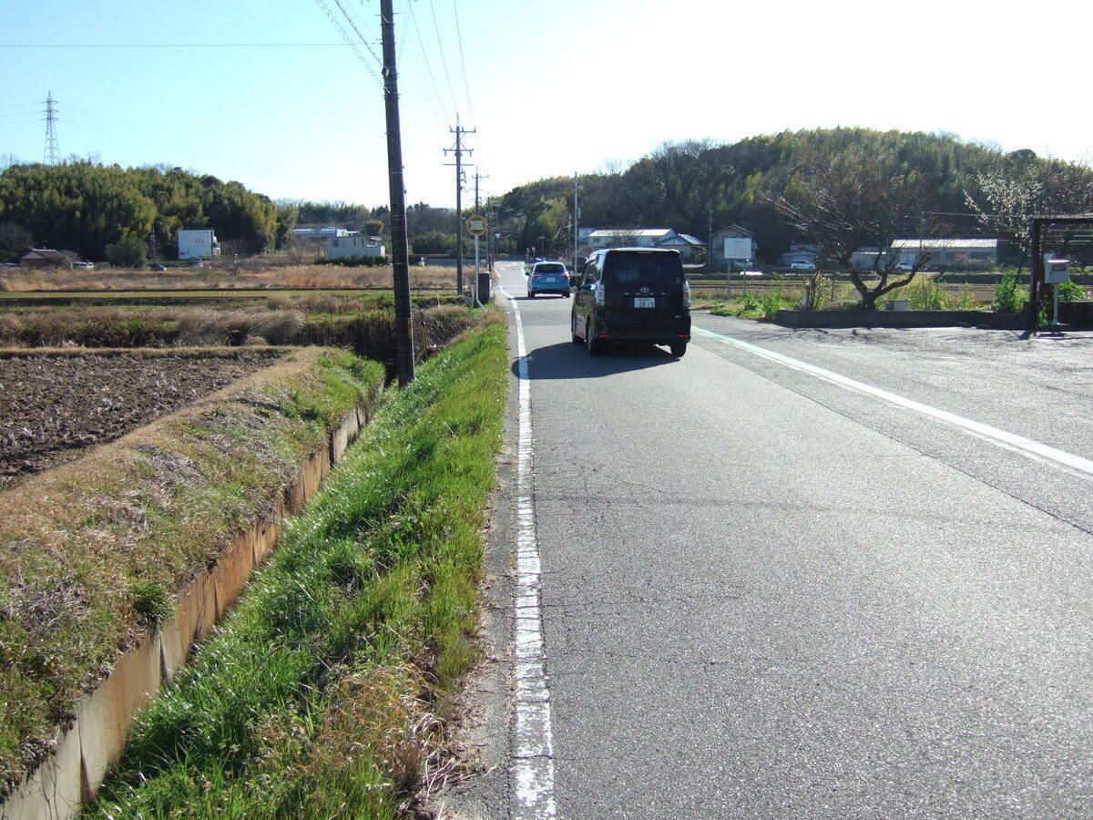 A narrow paved road stretches into the distance toward a set of low-lying hills. Two small cars are rolling down the road, away from the camera. A row of telephone poles stands to the left of the road, beyond which there is a ditch and tilled fields, Fields also lie to the right, where some fruit trees pruned to grow out horizontally are visible.