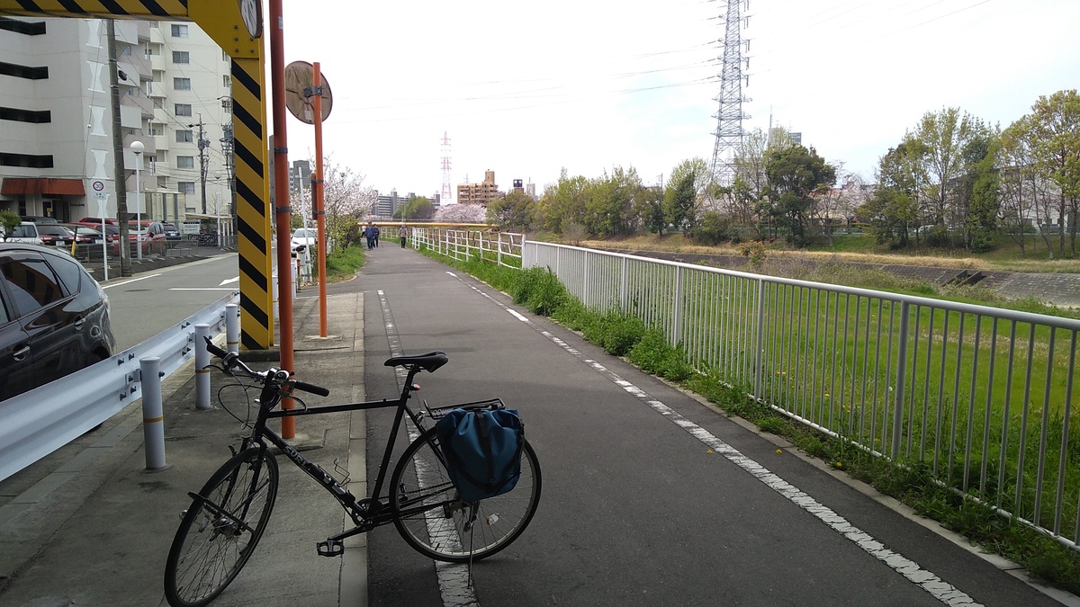 A riverside path for pedestrians and bicycles, bordered by cherry trees in bloom.