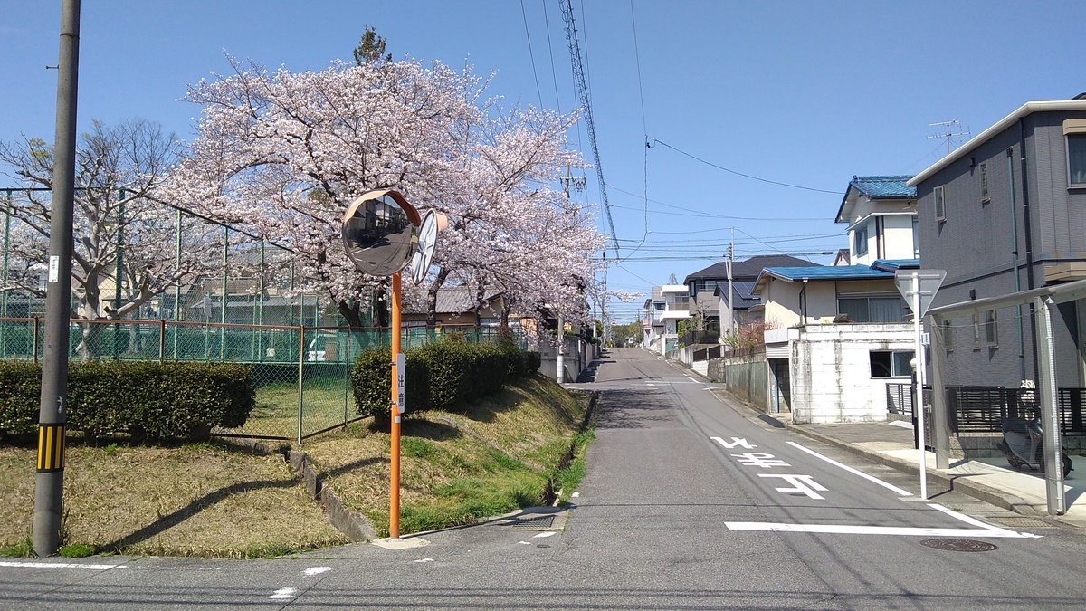 A cherry tree in bloom stands in a fenced-in park or playground set at a suburban streetcorner