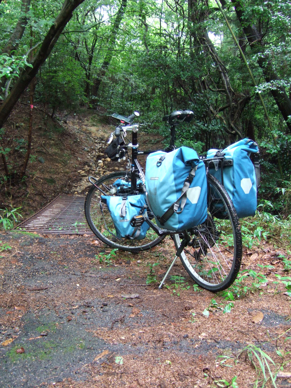 A bicycle with front and rear panniers parked on a dirt path in front of a small footbridge over a rivulet, with the path beyond the bridge snaking upward through dense forest.