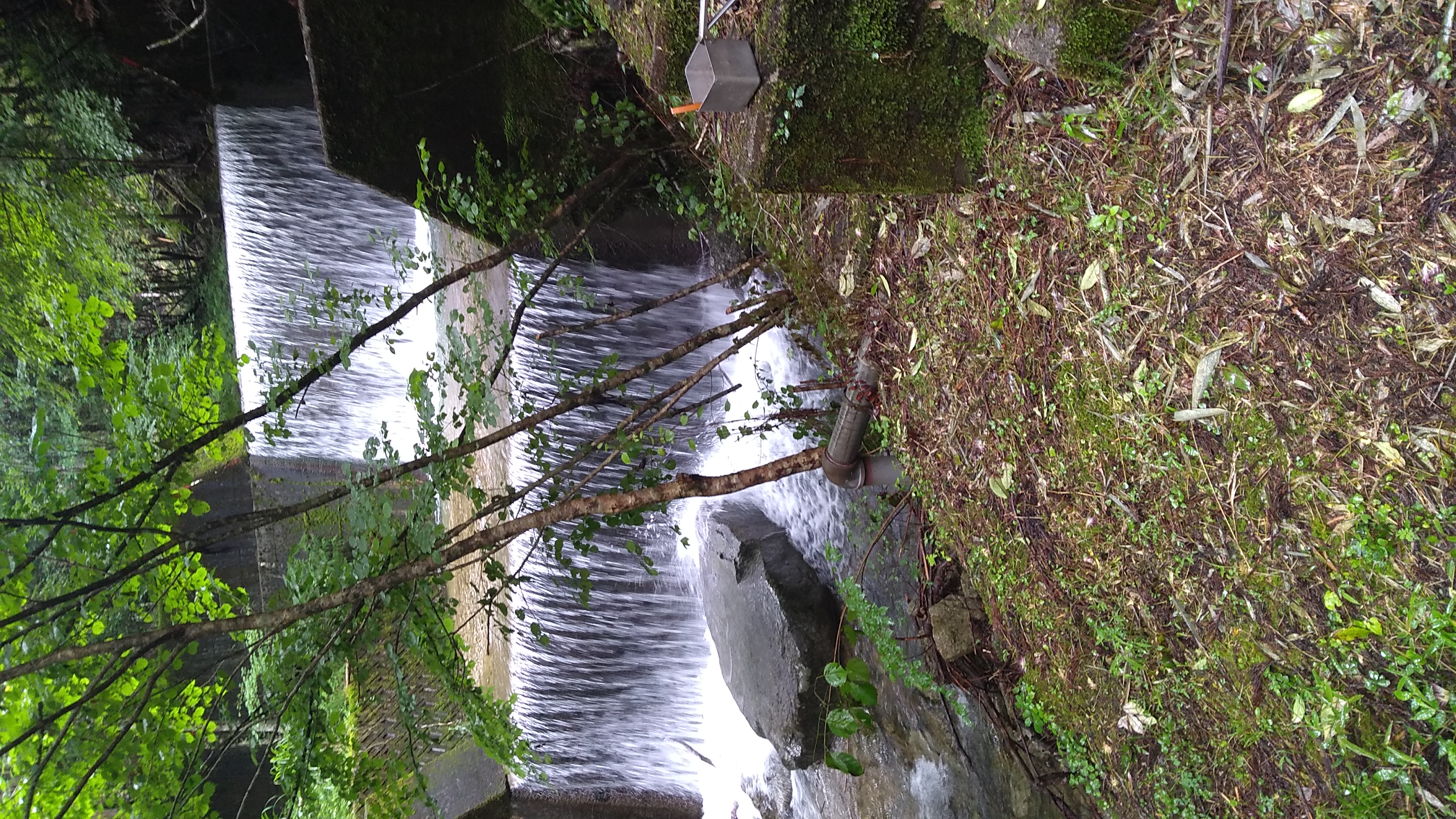 A two-tiered water cascade in forestland. to the right, a pot of oatmeal (the breakfast of the man behind the camera) is visible.