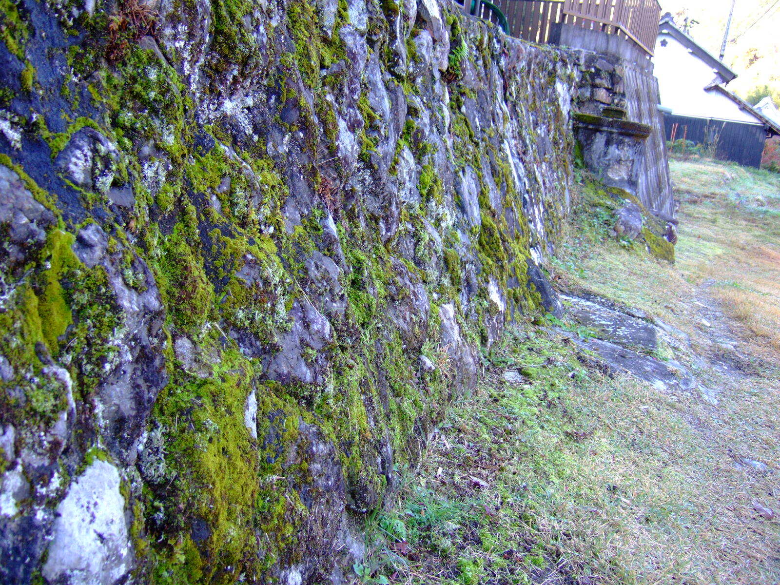 A moss-covered drystone wall standing about 2½ meters tall.