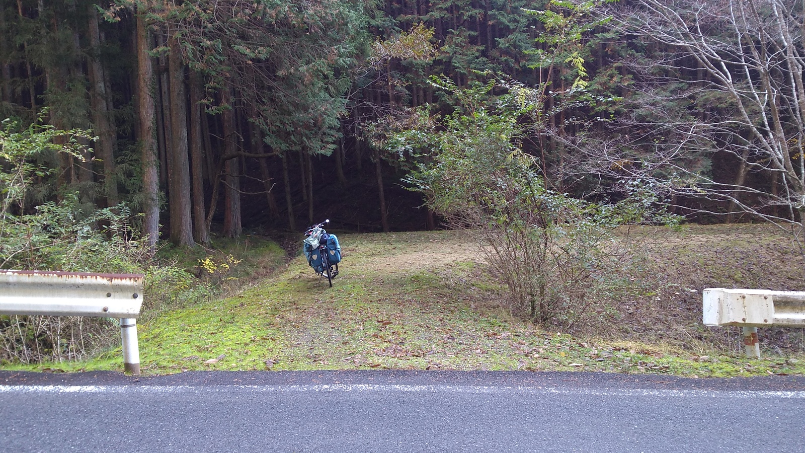 A turnout from a mountain road, with guard rail ends visible to the left and right. Beyond the opening in the guard railing a loaded touring bicycle is parked in a flat area, with the trunks of cedar trees standing in the forest beyond the clearing.