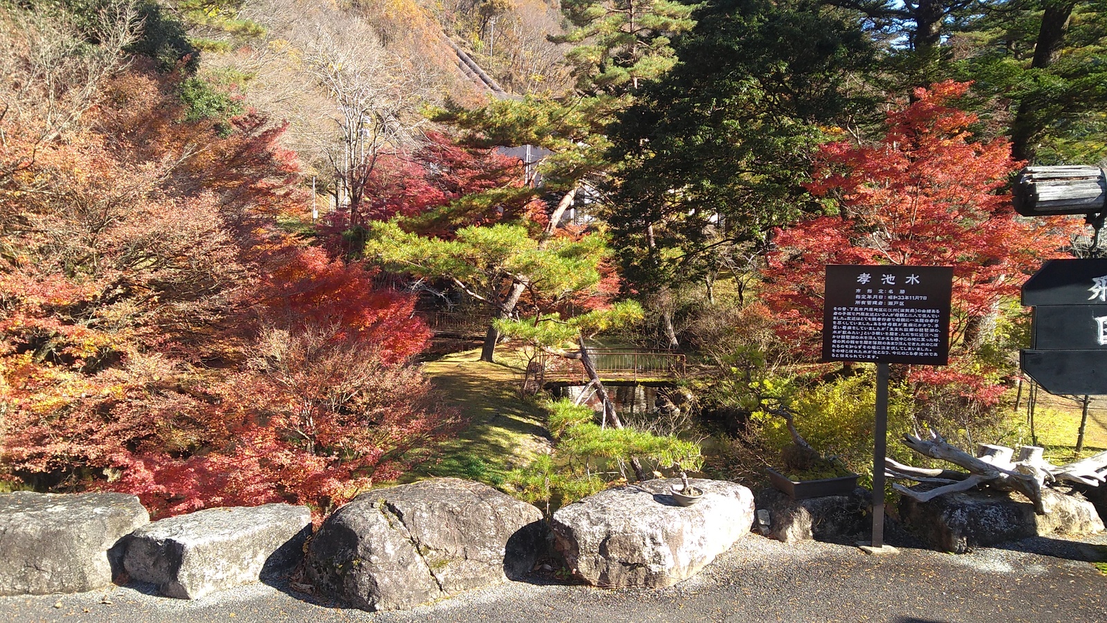 A view of autumn foliage in a small well maintained park with a pond.