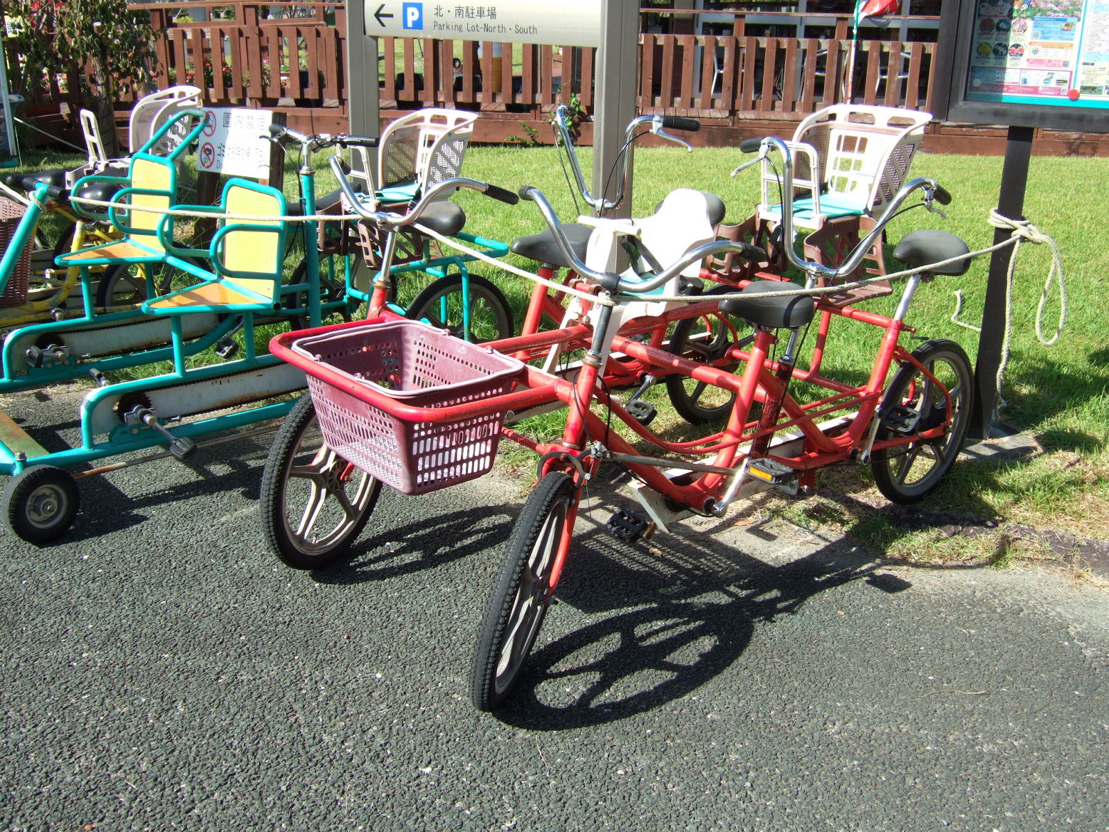 Four-wheeled pedal-powered carriages parked in a lot. The vehicles are in various colors and configurations, but all have two seats for adult riders and one or more child seats mounted somewhere on the frame.