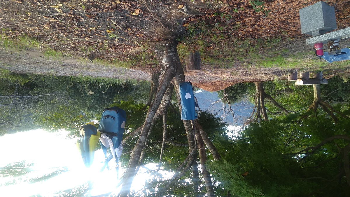 Three blue pannier bags hanging from the branches of a Japanese maple tree, in an area flattened and finished in gravel. At the left edge of the photo there is a stone bench with a camp stove and moka pot.