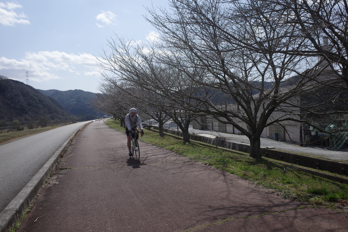 A lone helmeted rider coming toward the camera on a road bicycle, over a path lined with leafless trees to the right, under partly cloudy skies and with a mountain ridge as a backdrop in the far distance.