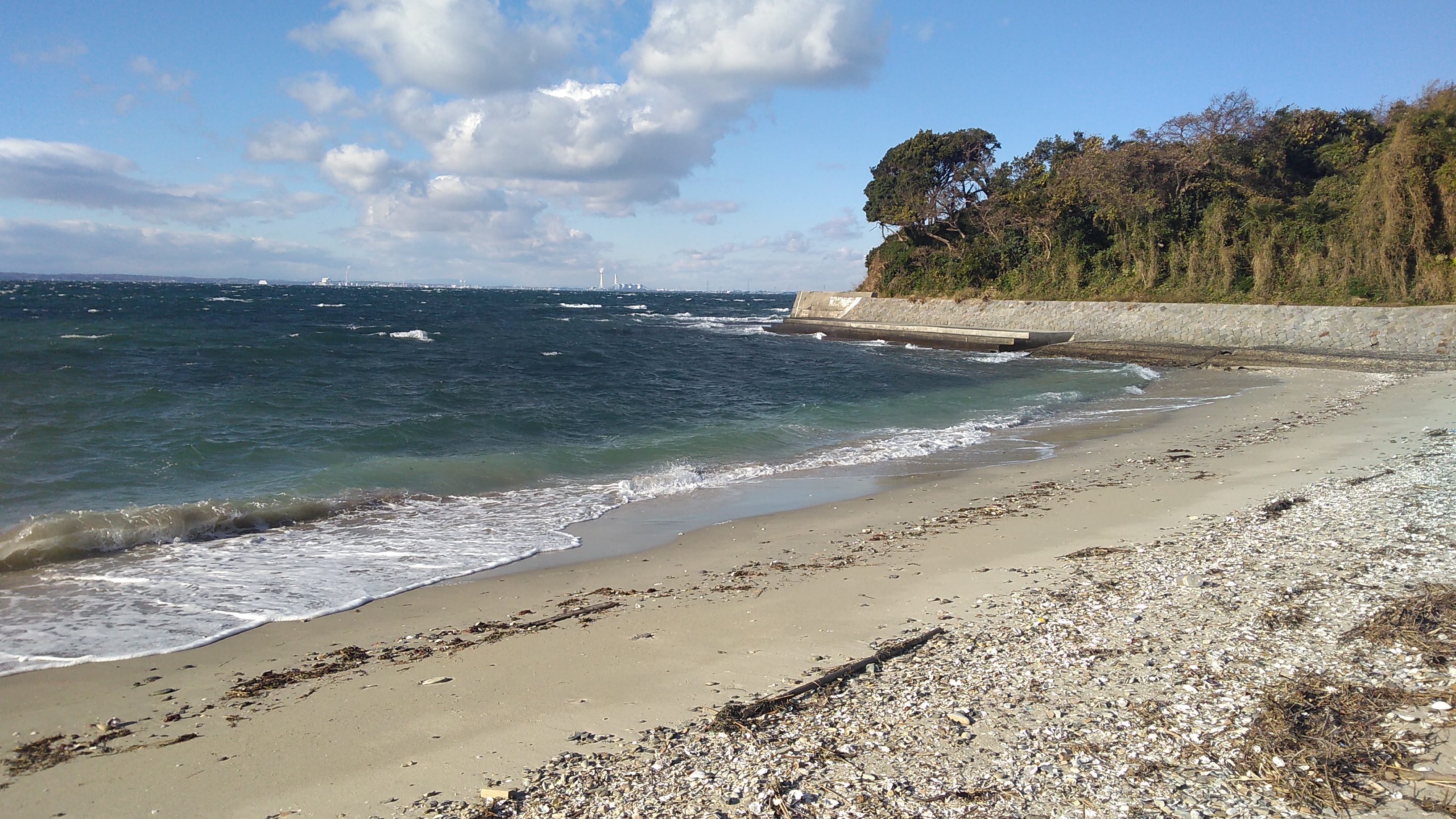 A beach in foreground stretching to a forested coastline on the right, intruding on a panoramic expanse of blue ocean under a sky decorated in puffy clouds.