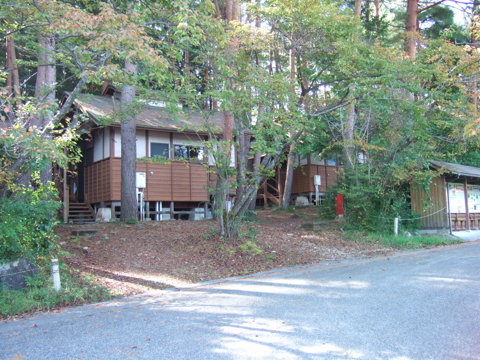 Shingle-roofed cabins embedded in cedar forest.