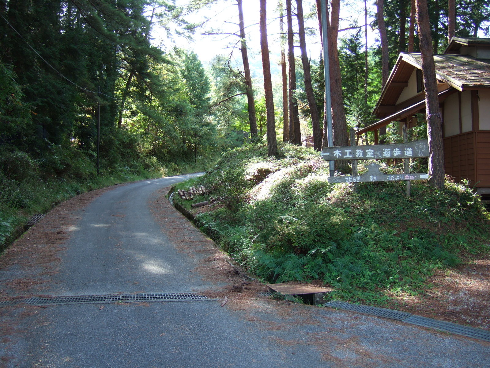 A paved road rises up through a woodland. To the right of the road there is a cabin structure with a sign reading “Woodworking instruction walking trail” 木工教室・遊歩道