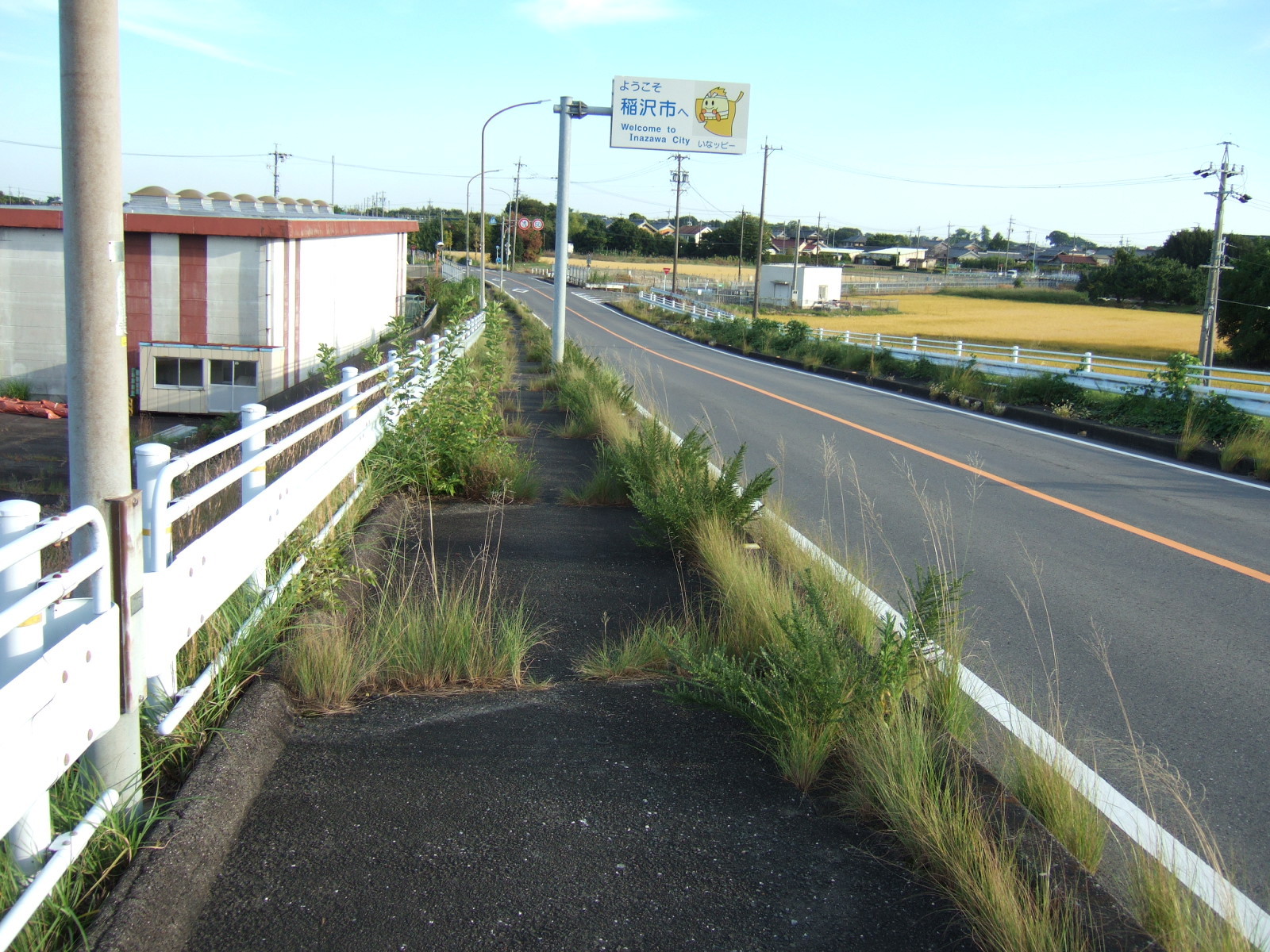 The path shown in the companion photos, beyond the bridge crossing. Tall weeds grow here and there through cracks in the pavement.