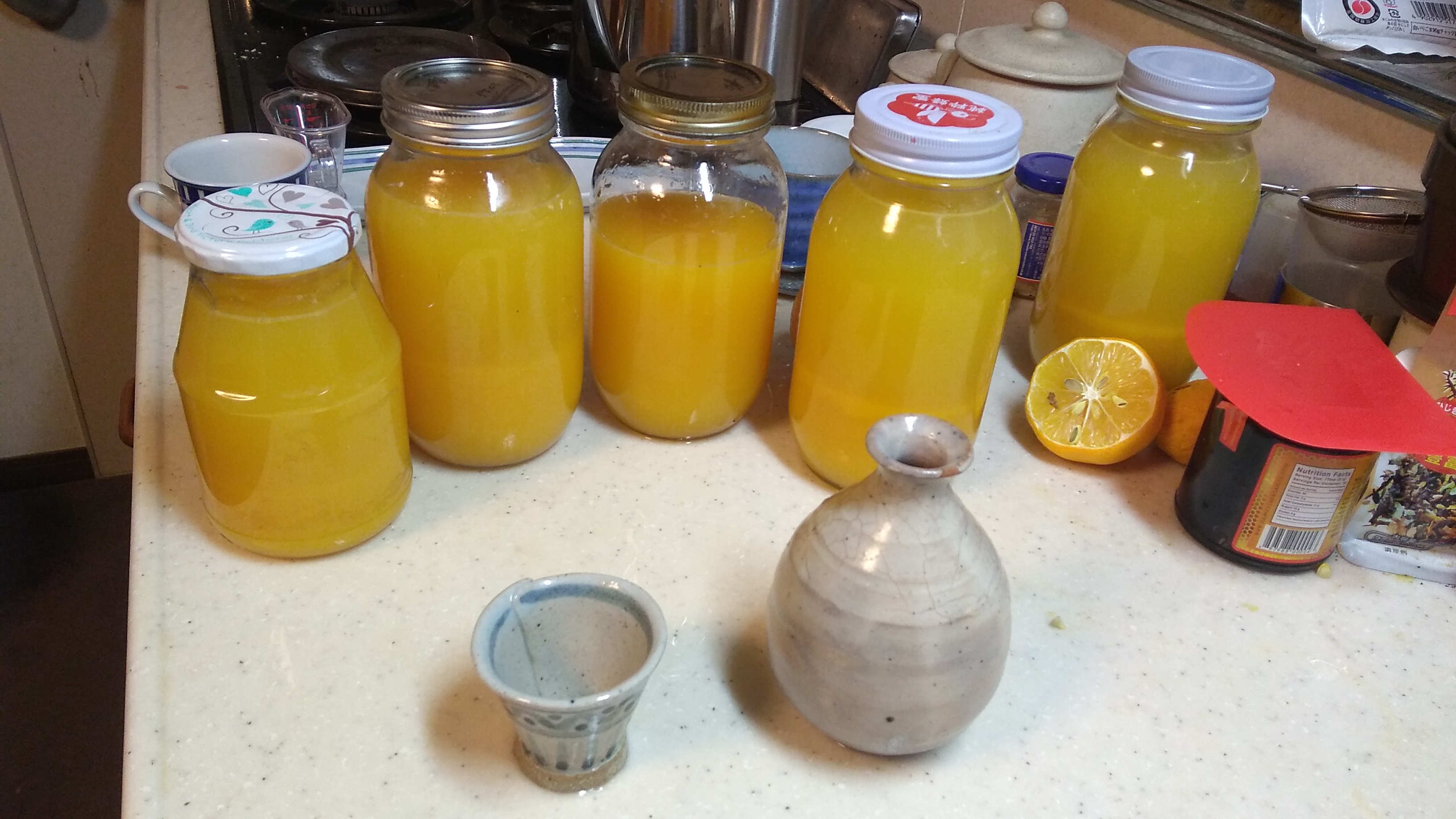 Five 500ml bottles filled with shiikuasa juice lined up on a kitchen counter, with a saké warming bottle (tokkuri) and cup (ochoko) standing in front of them.